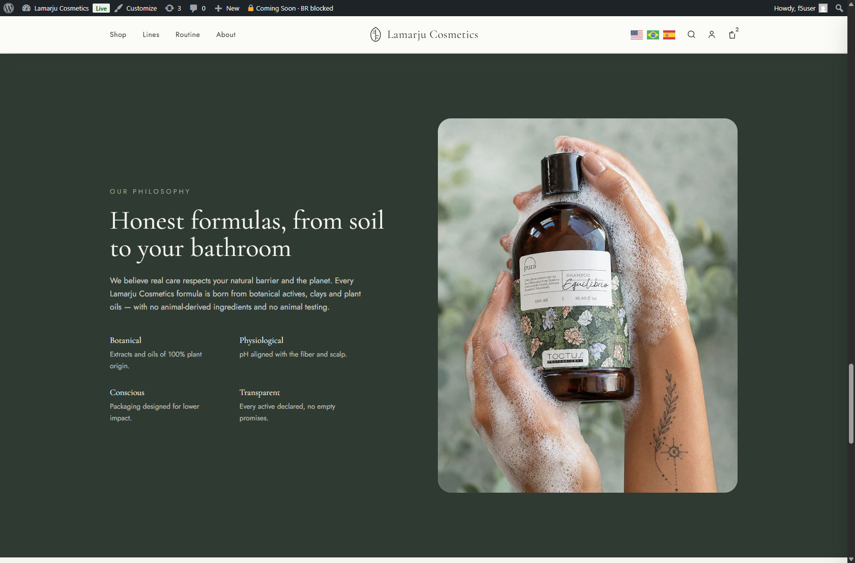 Brand philosophy section