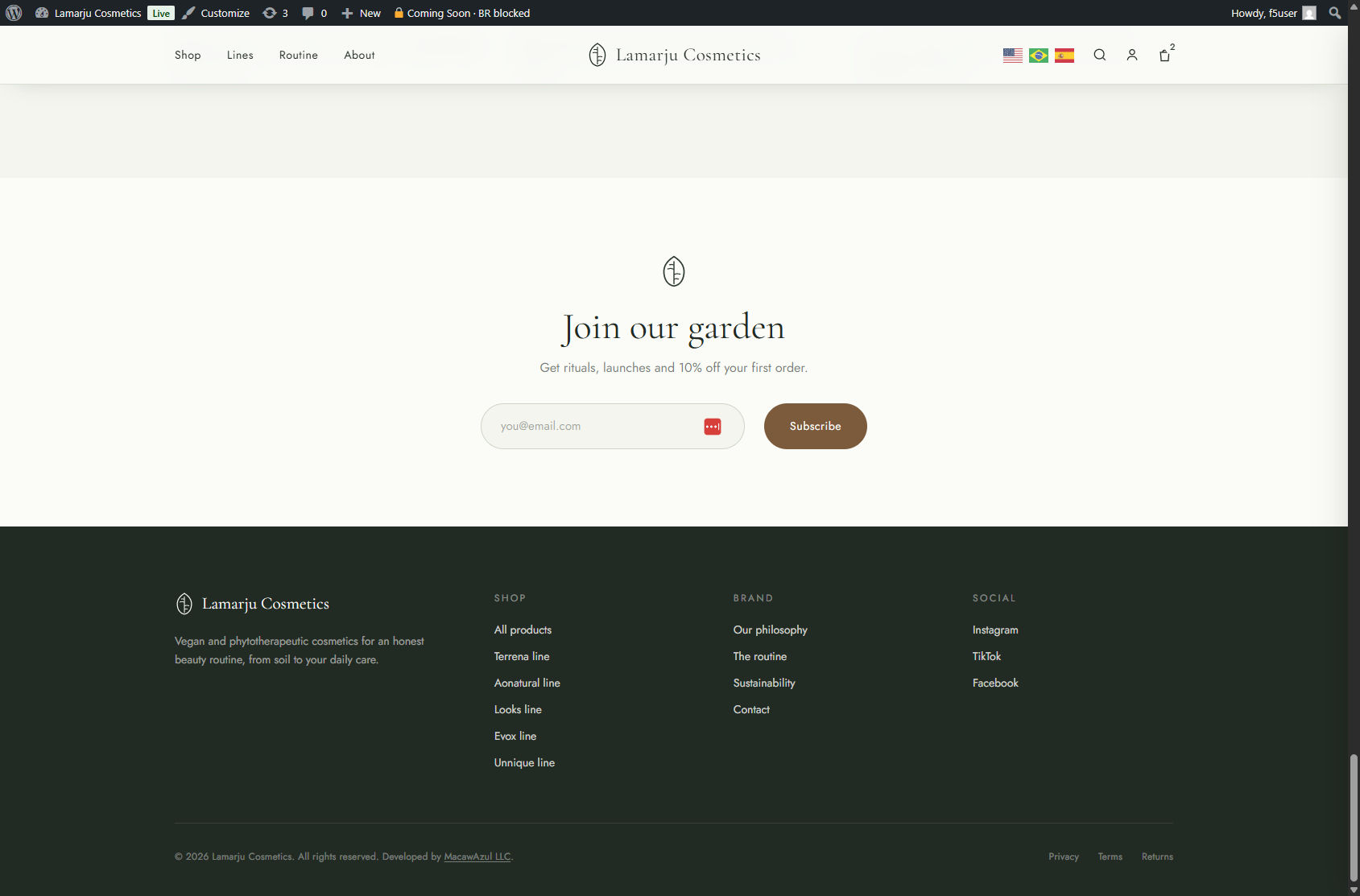 Newsletter and footer